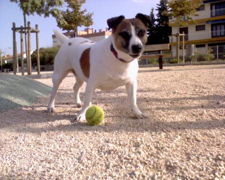 n�e le 25 Janvier 2001