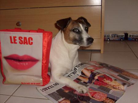 photo pour concours  Voici